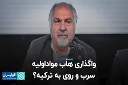 واگذاری هاب مواد اولیه سرب و روی به ترکیه؟