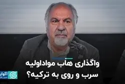 واگذاری هاب مواد اولیه سرب و روی به ترکیه؟