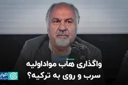 واگذاری هاب مواد اولیه سرب و روی به ترکیه؟