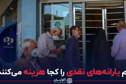 مردم یارانه‌های نقدی را کجا هزینه می‌کنند؟