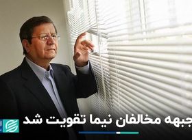 وزنه مخالفان دلار نیمایی سنگین‌تر شد