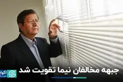 وزنه مخالفان دلار نیمایی سنگین‌تر شد