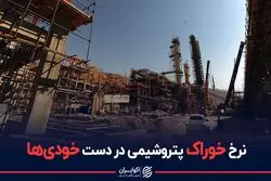 نرخ خوراک پتروشیمی در دست خودی‌ها