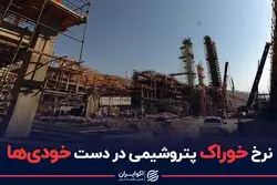 نرخ خوراک پتروشیمی در دست خودی‌ها