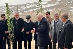 پایان کمربند سبز ۵۰ هزار هکتاری تهران پس از ۳۸ سال / درختکاری روی کوه‌های شمال تهران کلید می‌خورد