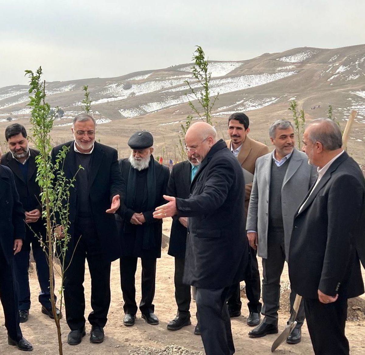 پایان کمربند سبز ۵۰ هزار هکتاری تهران پس از ۳۸ سال / درختکاری روی کوه‌های شمال تهران کلید می‌خورد