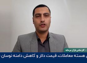 اختلال هسته معاملات، قیمت دلار و کاهش دامنه نوسان