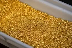 عقب‌نشینی قیمت طلا و سکه/ روند اصلاحی به بازار بازمی‌گردد؟