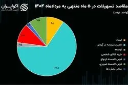 تسهیلات بانکی صرف تولید می‌شود یا خرج روزمره؟