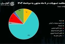 تسهیلات بانکی صرف تولید می‌شود یا خرج روزمره؟