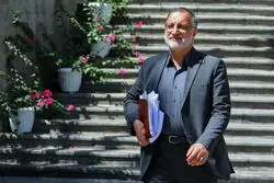 زاکانی: سگ‌گردانی باید با ضابطه انجام شود

