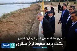 پشت پرده سقوط نرخ بیکاری