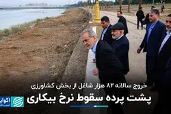 پشت پرده سقوط نرخ بیکاری
