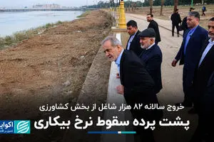 پشت پرده سقوط نرخ بیکاری