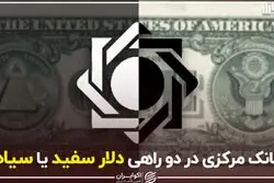 بانک مرکزی در دو راهی دلار سفید یا سیاه