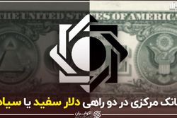 بانک مرکزی در دو راهی دلار سفید یا سیاه