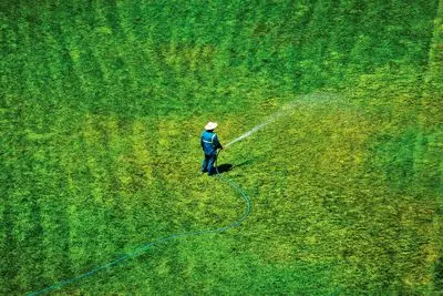 فضای سبز سوخته در انتظار پایتخت 