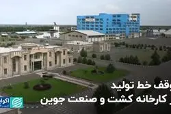 توقف خط تولید در کارخانه کشت و صنعت جوین