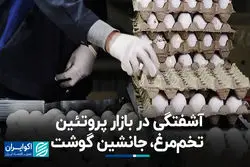 سبد معیشت چگونه تحت تأثیر گرانی گوشت کوچک‌تر شده است؟