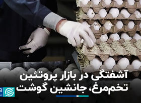 سبد معیشت چگونه تحت تأثیر گرانی گوشت کوچک‌تر شده است؟
