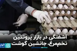 سبد معیشت چگونه تحت تأثیر گرانی گوشت کوچک‌تر شده است؟