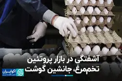 سبد معیشت چگونه تحت تأثیر گرانی گوشت کوچک‌تر شده است؟