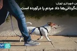 سگ‌گردانی‌ها داد مردم را درآورده است