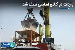 واردات دو کالای اساسی نصف شد
