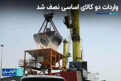 واردات دو کالای اساسی نصف شد