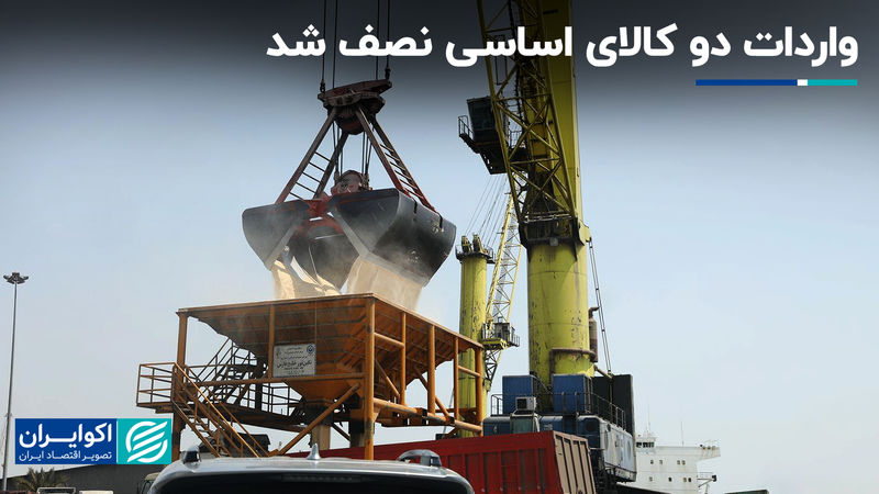 واردات دو کالای اساسی نصف شد