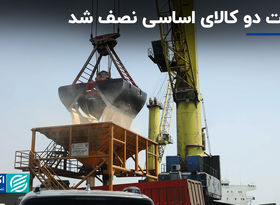 واردات دو کالای اساسی نصف شد