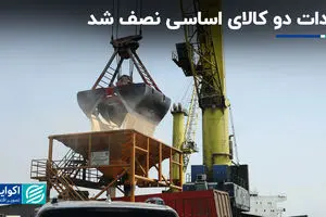 واردات دو کالای اساسی نصف شد