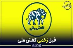 حال ناخوش کفش ملی