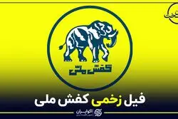 حال ناخوش کفش ملی