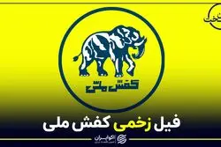 حال ناخوش کفش ملی