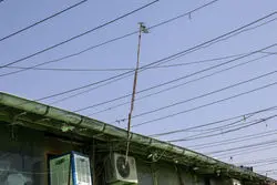 قبل از خرید ملک حتما این گواهی را چک کنید + جزییات