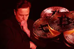 ایلان ماسک تاج‌وتخت خود را به یک میلیاردر بیت‌کوین می‌بازد؟‎