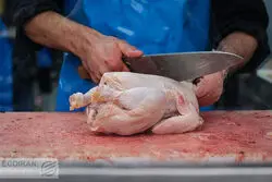 مرغ گران می‌شود؟
