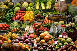 رویای شناسنامه‌دار شدن