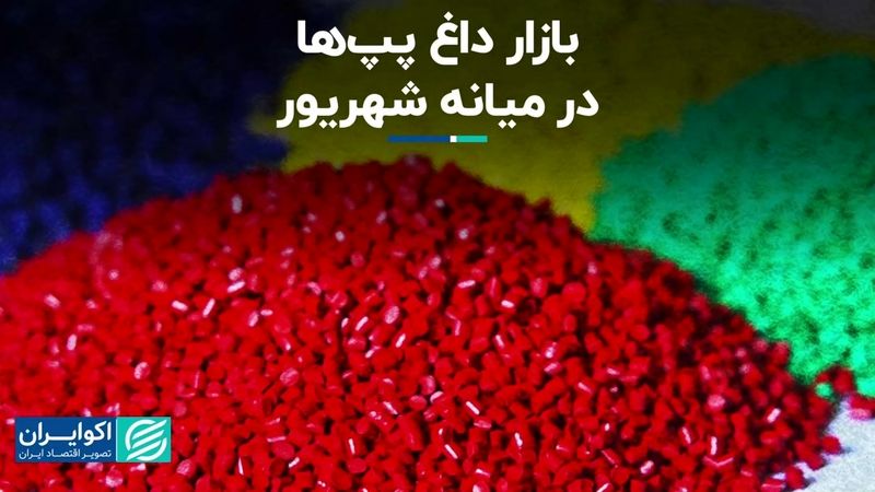 بازار داغ پپ‌ها در میانه شهریور  