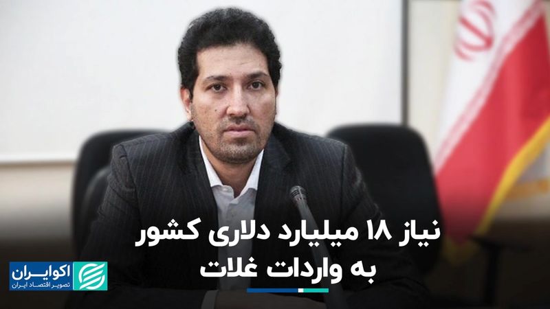 خرج بزرگ دولت در بازار ارز