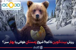  زمستان طولانی بازار رمزارزها شروع شده یا بهار سبز نزدیک است؟