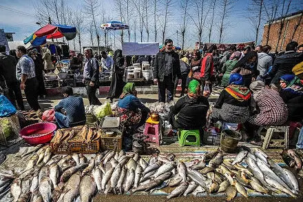 بارش تورم بهمن در خاک مازندران + نمودار