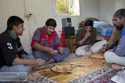 منوی غذای ۱۳۵ سال پیش در ایران؛ قیمت عجیب کباب در سال ۱۲۷۰ شمسی!