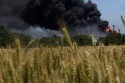 گندم در تیررس بحران‌های ژئوپلیتیک؛ موج جدید گرانی در بازار جهانی