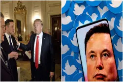 ترامپ دوم در توئیتر کیست؟