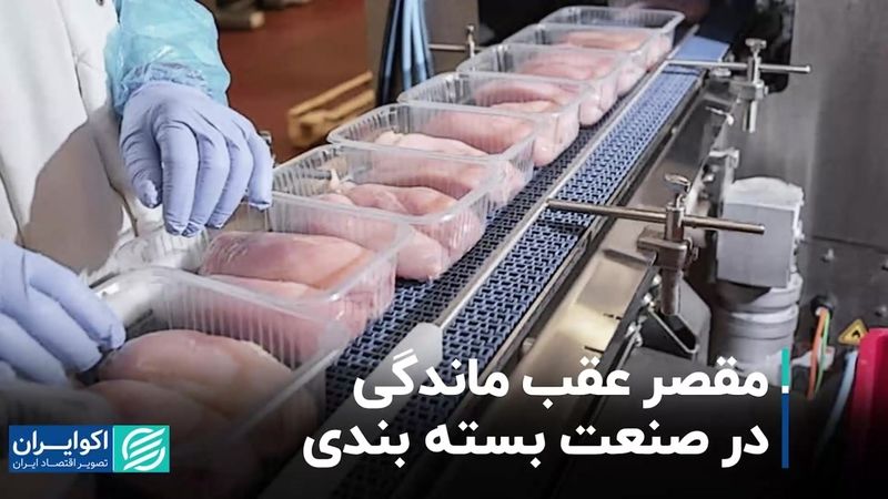 مقصر عقب ماندگی در صنعت بسته بندی