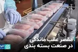 مقصر عقب ماندگی در صنعت بسته بندی