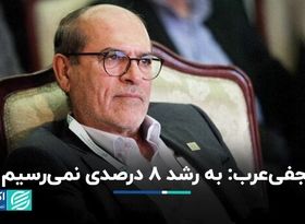 نجفی‌عرب: به رشد 8 درصدی نمی‌رسیم