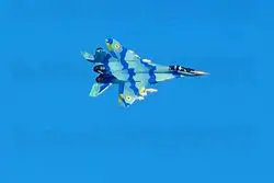 ببینید/ پرواز میگ ۲۹ در تهران